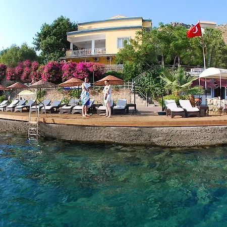 Yilmaz Kaptan * 보즈부른